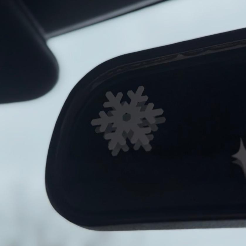 Insider Snowflake (10 PACK)